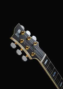 FF Black Headstock Voor Schuin Witte Achtergrond(1)