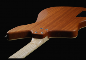 FF Blue Achter en Hals Half Witte achtergrond