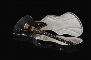 Koffer met FF Custom Black Staand