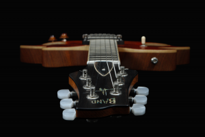 356 Three Five Six KJBAnd KJ Band electric offset guitar